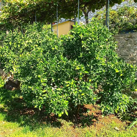 Appartamento Fuer 3 Personen Ca 20 Qm In Rabac, Istrien Bucht Von *